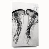 Large abstract wall art depicting close-ups of water in muted blue and green hues on acrylic glass.