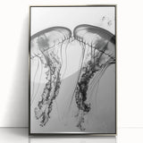 Mid-century modernist art deco poster featuring a close-up of water droplets, in silver framed acrylic.