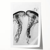 Close-up floral art on rolled print, featuring soft pastel hues, ideal for dining room or bathroom wall decor.