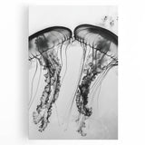 Close-up black and white photo of water droplets on a leaf, printed on large stretched canvas, ideal for kitchen wall art.