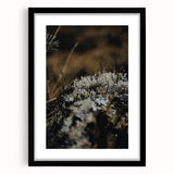 Extra large abstract art print featuring textured autumnal hues on a black framed canvas, ideal for living room decor.