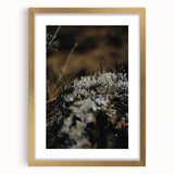 Extra large abstract art print featuring textured fall-inspired hues in a gold frame, ideal for living room decor.