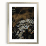 Textured abstract art print depicting autumnal hues on a framed silver mat, ideal for bedroom ambiance.