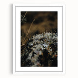 Abstract art print featuring autumnal shades on a white framed canvas, suitable for bedroom or dining room decor.