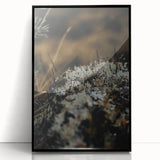 Large abstract wall art featuring autumnal tones on framed acrylic, suitable for modern art wall decor.