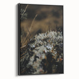 Black and white framed canvas featuring a vintage poster art style landscape, ideal for bedroom decor.