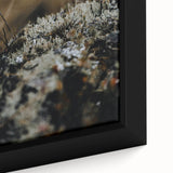 Close-up of extra large black wall art featuring a colorful, textured abstract design on framed canvas.