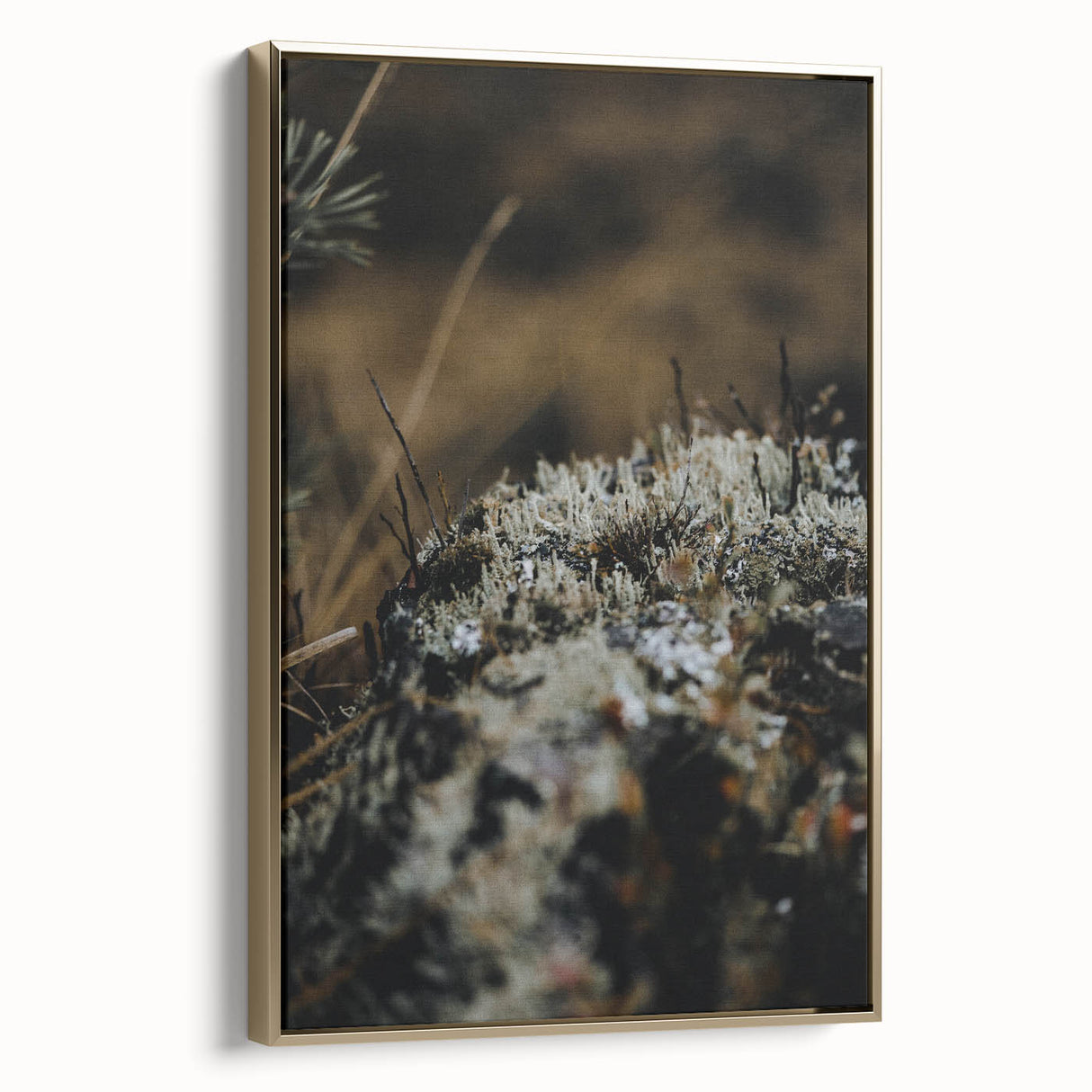 Framed canvas wall art depicting a vintage-style landscape with fall foliage in gold and black tones.