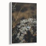 Vintage poster art featuring an autumnal scene on a large framed canvas, ideal for living room decor.