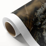 Art Deco poster featuring a stylized autumn tree on rolled canvas, using warm orange and brown tones.