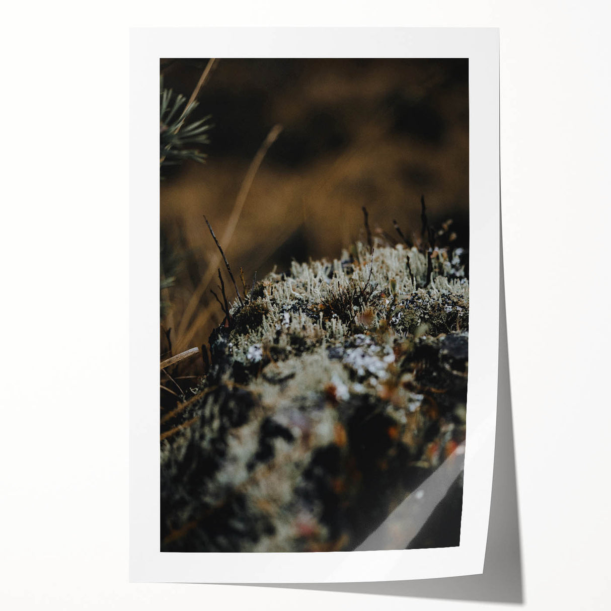 Rolled print featuring a large, detailed floral design in warm autumn hues, ideal for art wall dining room.