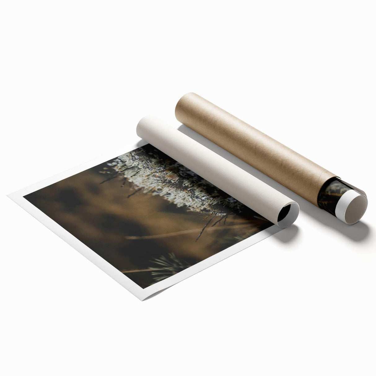 Extra large rolled print featuring a fall-themed floral art in warm orange and red tones.