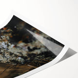 Extra large wall art featuring line art flowers in muted autumn colors on a rolled print, ideal for large living room decor.