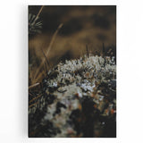 Black and white large art canvas of a stylized tree in autumn, ideal for kitchen wall art.