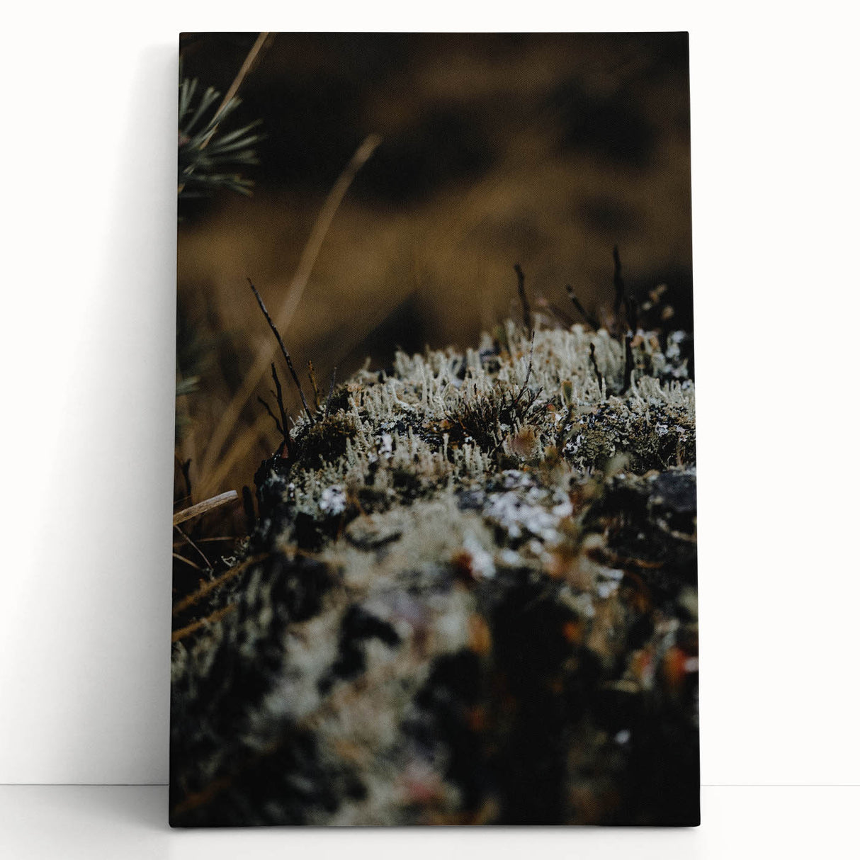 Large black and white stretched canvas depicting a minimalist fall tree scene, suitable as kitchen wall art or for a bedroom.