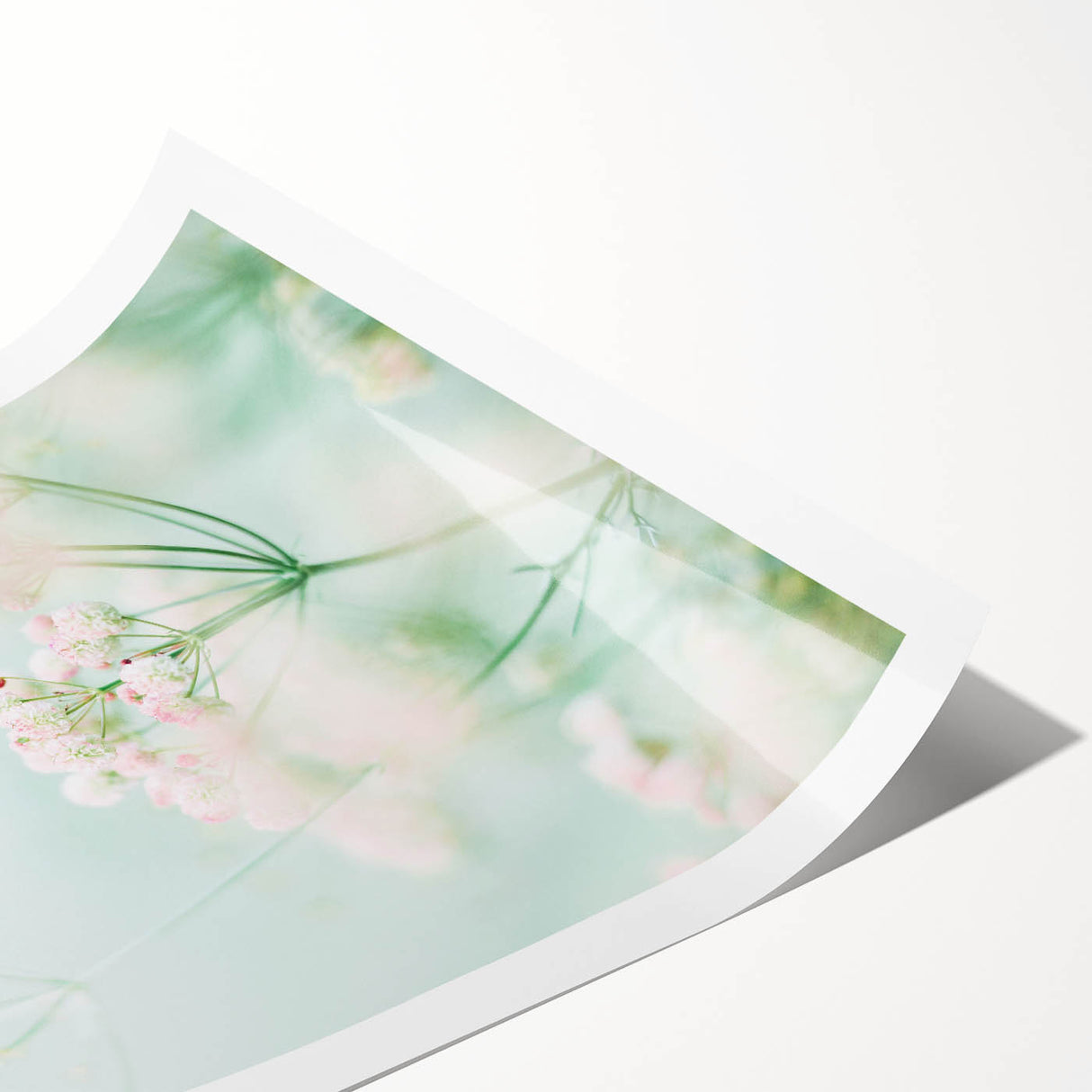 Extra large wall art featuring line art flowers in soft pastel shades on a rolled canvas.