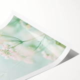 Extra large wall art featuring line art flowers in soft pastel shades on a rolled canvas.