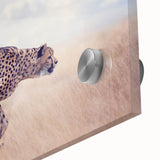 Close-up of a vibrant acrylic glass design featuring a collection of colorful animal illustrations, showcasing intricate details and rich textures ideal for modern decor.