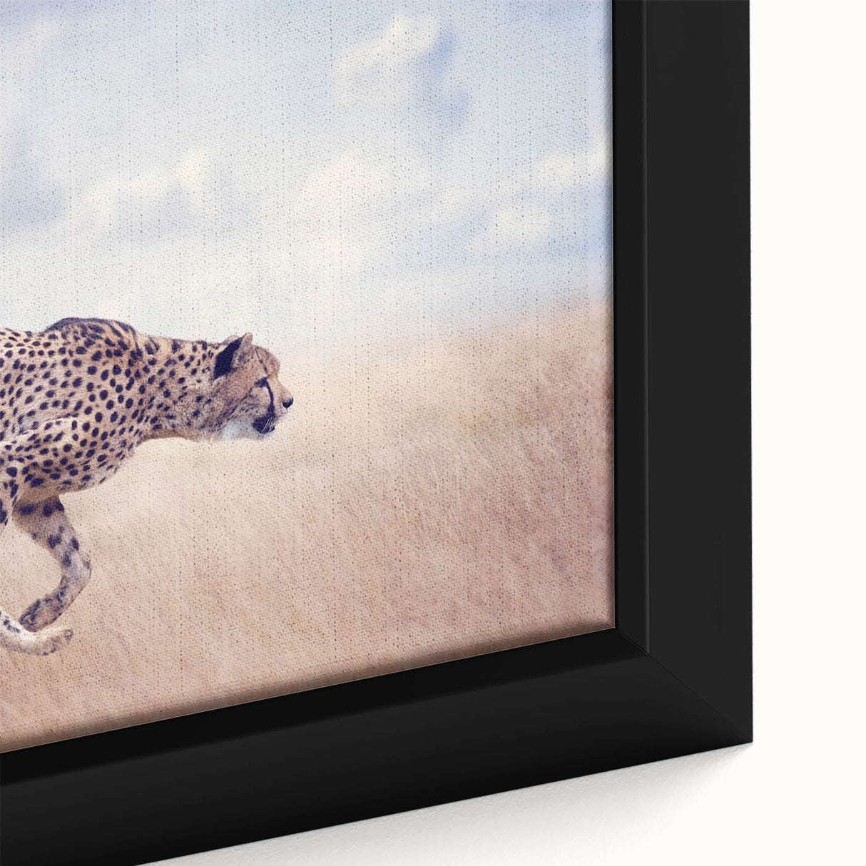 Framed canvas artwork showcasing a vibrant close-up of colorful animal designs, highlighting intricate details and textures in a modern home decor setting.