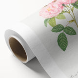 Neoclassical Art Print of Italian Damask Rose by Redouté - Floral Decor