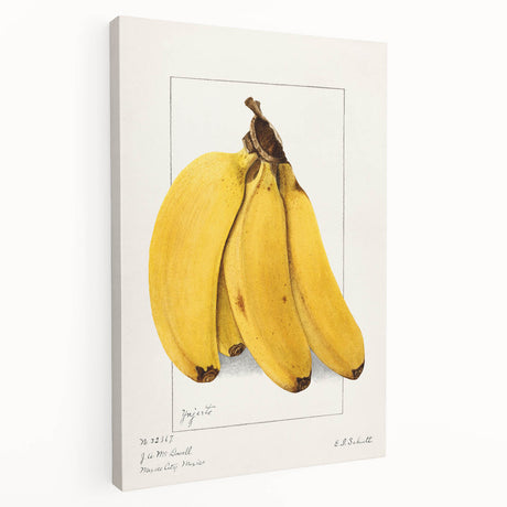 Large art depicting assorted fruits in bright colors on a stretched canvas, ideal for kitchen wall art.
