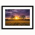 Black-framed landscape artwork featuring vibrant fields and a mat border, ideal for home decor. Perfect for adding color and sophistication to any room.