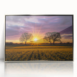 Framed acrylic artwork depicting serene landscapes with fields in vibrant colors, showcasing a modern design that enhances contemporary home decor. Perfect for living spaces.