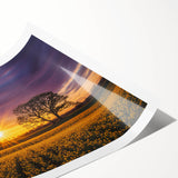 Vibrant rolled print showcasing a serene landscape of lush green fields, ideal for home decor. Packaged securely in a protective cardboard tube for safe shipping.