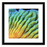 Extra large abstract art print featuring vibrant, colorful floral designs on a textured canvas, framed in black.