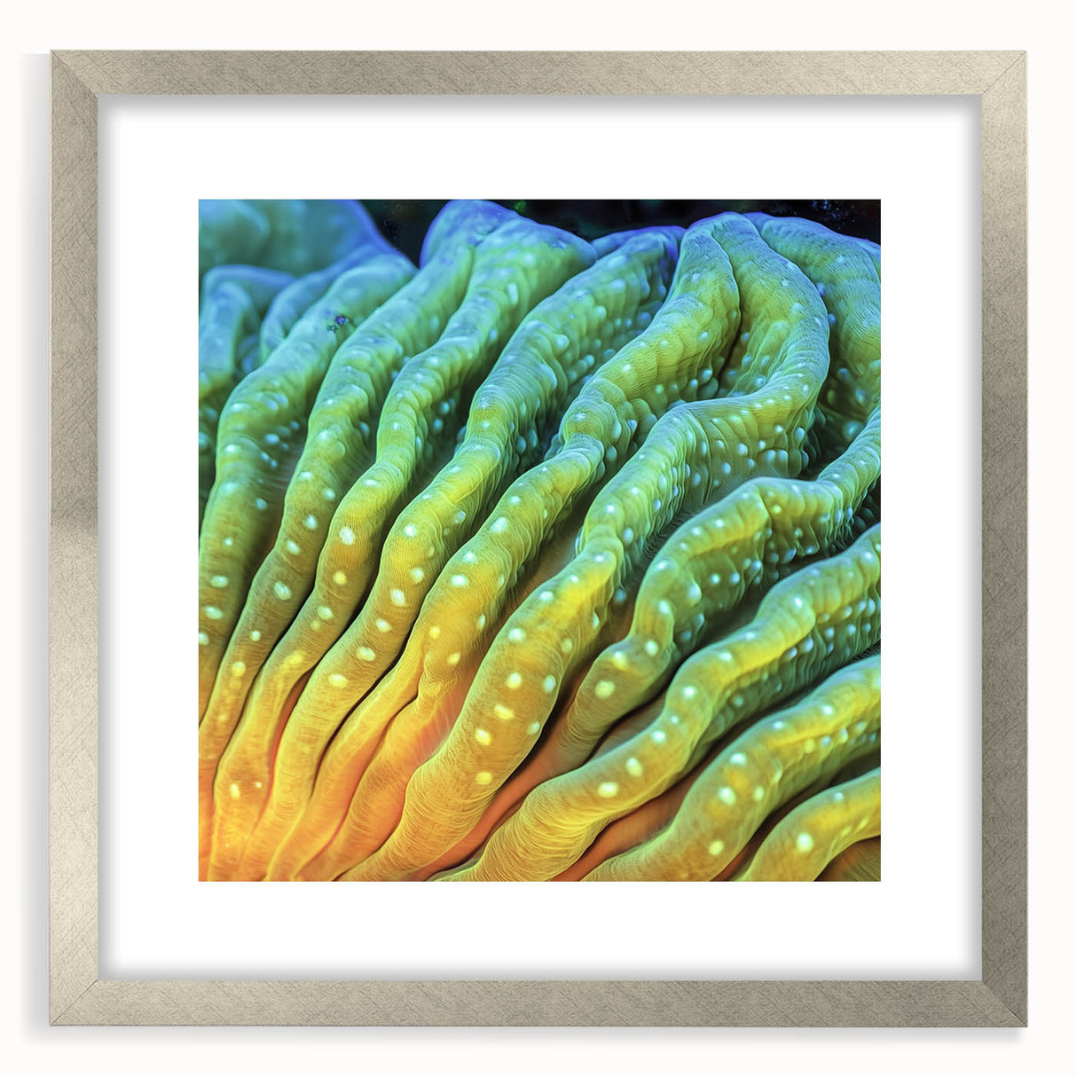 Textured abstract art print of close-up floral designs in soft gray tones, framed in silver, ideal for bedroom wall decor.