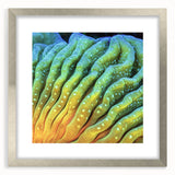 Textured abstract art print of close-up floral designs in soft gray tones, framed in silver, ideal for bedroom wall decor.