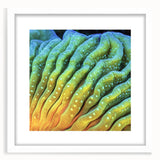 Abstract art print of close-up floral patterns in soft pastel shades, framed in white.