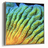 Framed canvas depicting a colorful landscape with vivid floral elements, ideal for brightening a living room wall.