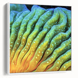 Vintage poster art of vibrant florals on a large framed canvas, ideal for living room decor.