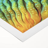 Art deco poster featuring close-up floral designs in muted pastel colors on rolled canvas, suitable for dining room decor.