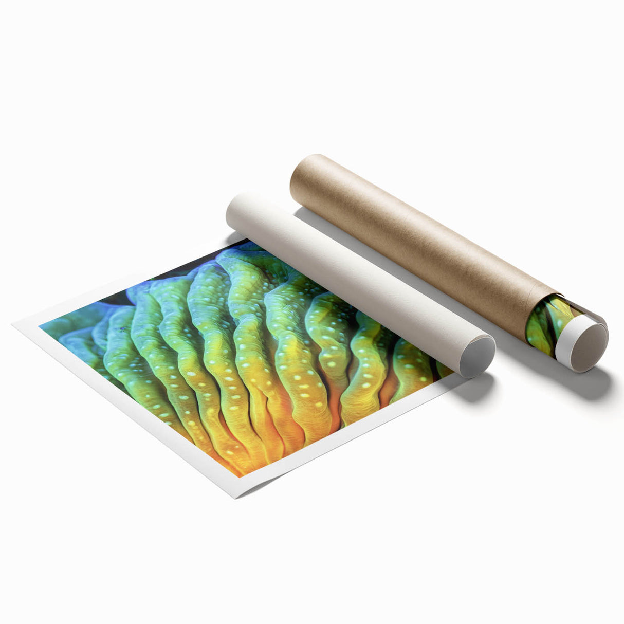 Close-up floral art in soft pastel shades on a large rolled print, suitable for bathroom or living room decor.