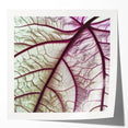 Close-up photo of green leaves in a glossy photo print format, suitable for art wall dining room.