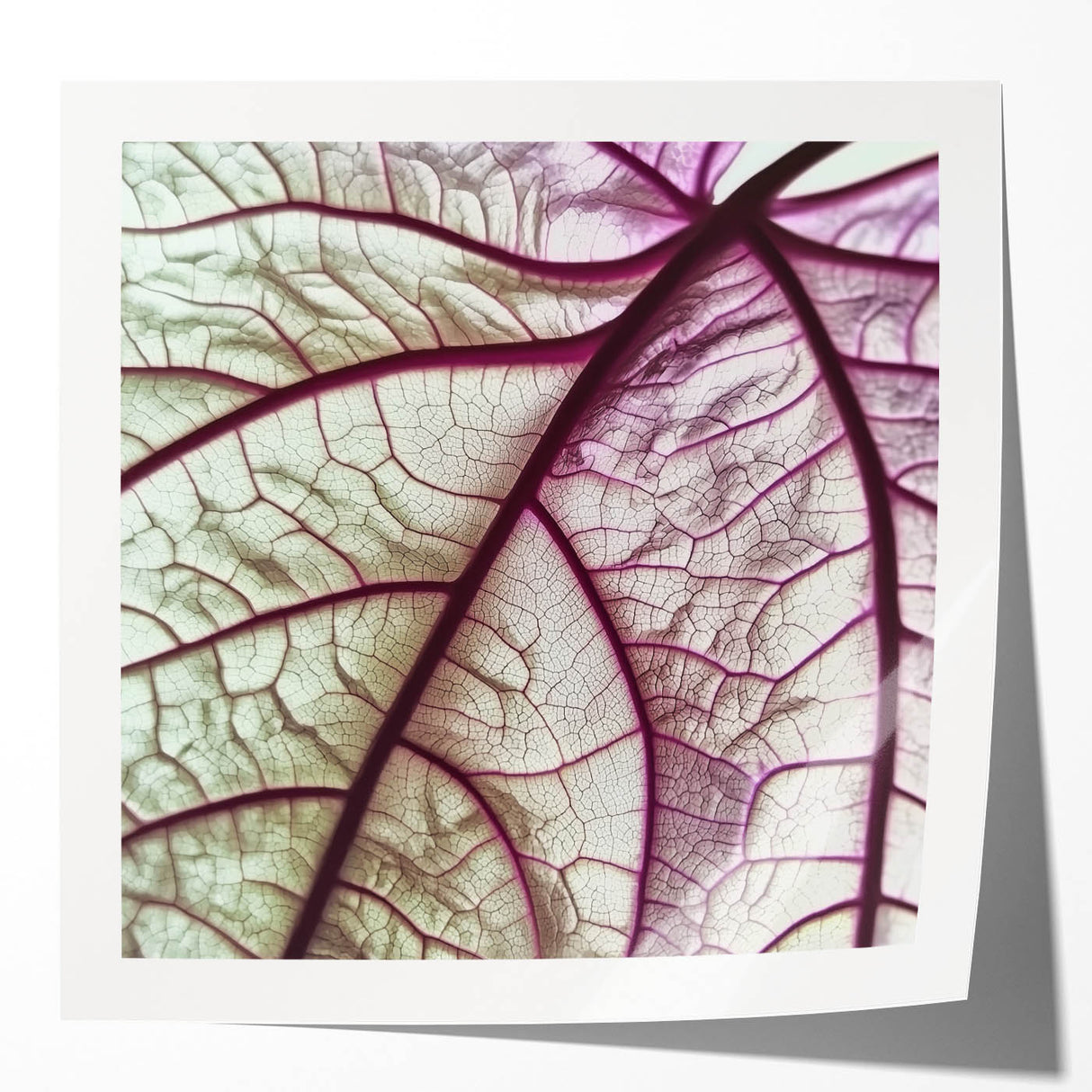 Close-up photo of green leaves in a glossy photo print format, suitable for art wall dining room.