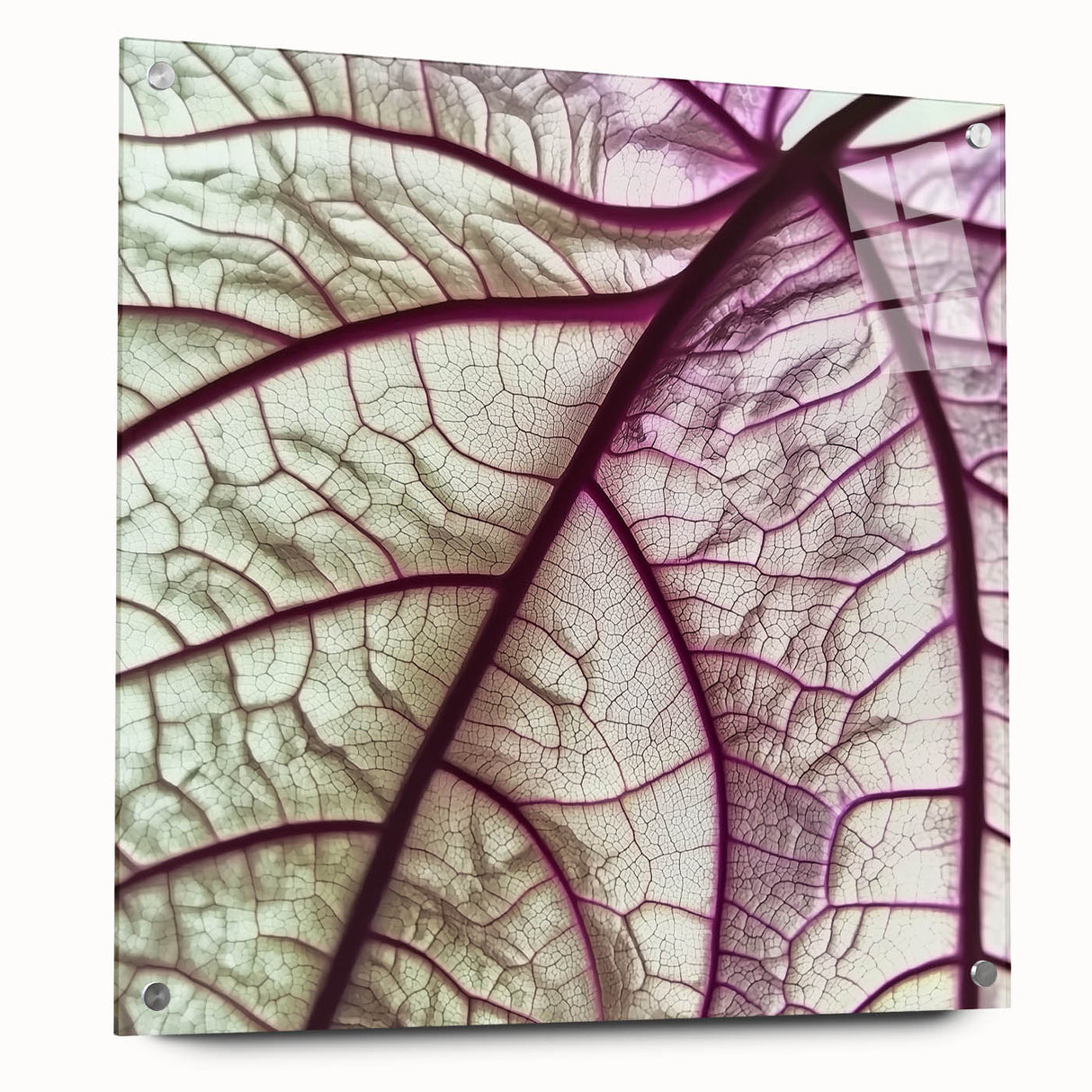 Acrylic print of close-up leaf details in vibrant green shades, suitable for dining room or bedroom decor.