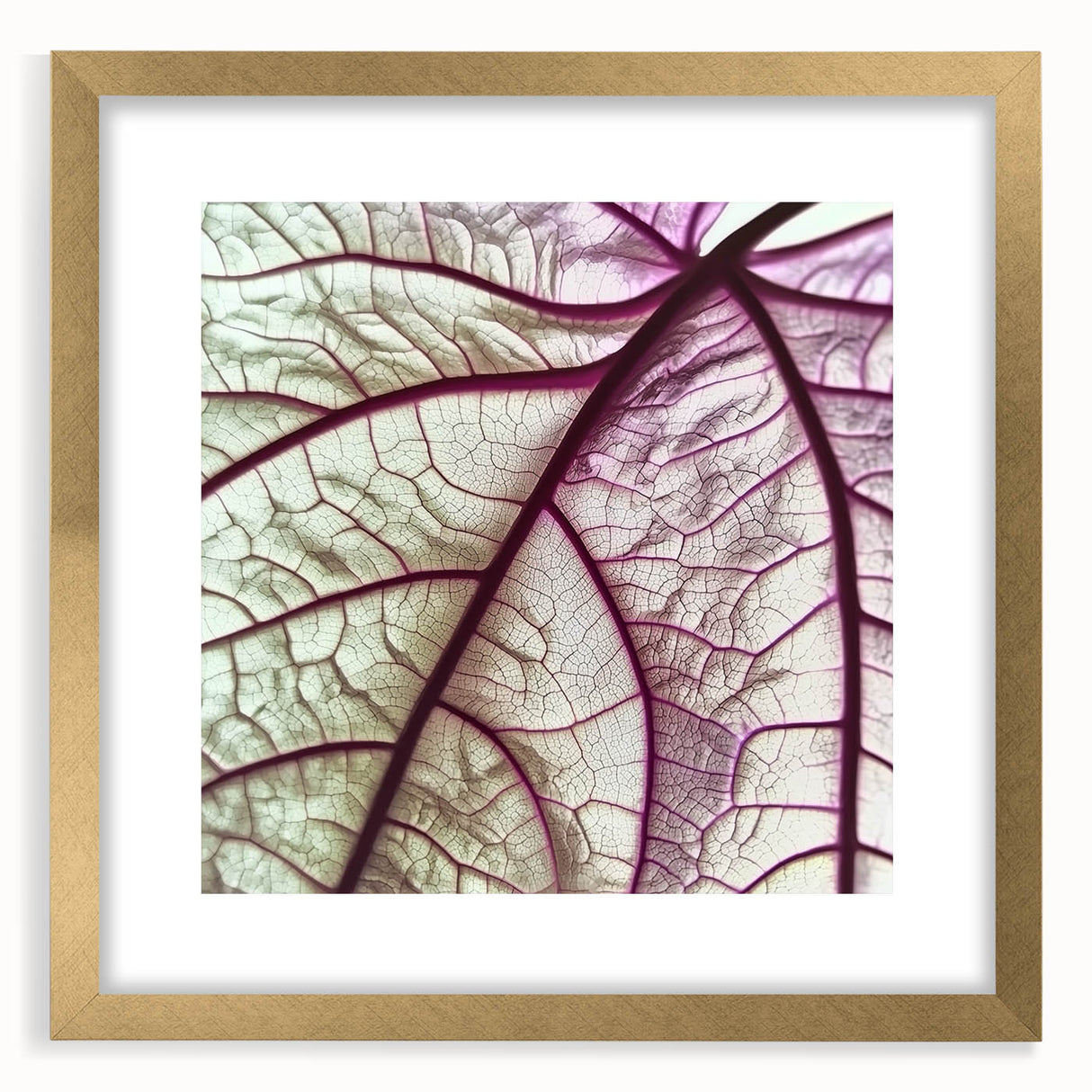 Extra large abstract art print of textured leaves in gold frame, suitable for living room decor.