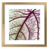 Extra large abstract art print of textured leaves in gold frame, suitable for living room decor.