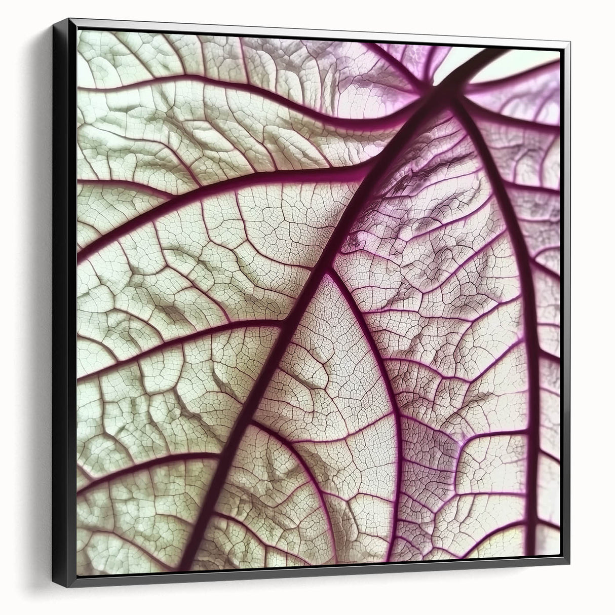 Close-up of leaves in black and white on a framed canvas, suitable for bedroom wall decor.