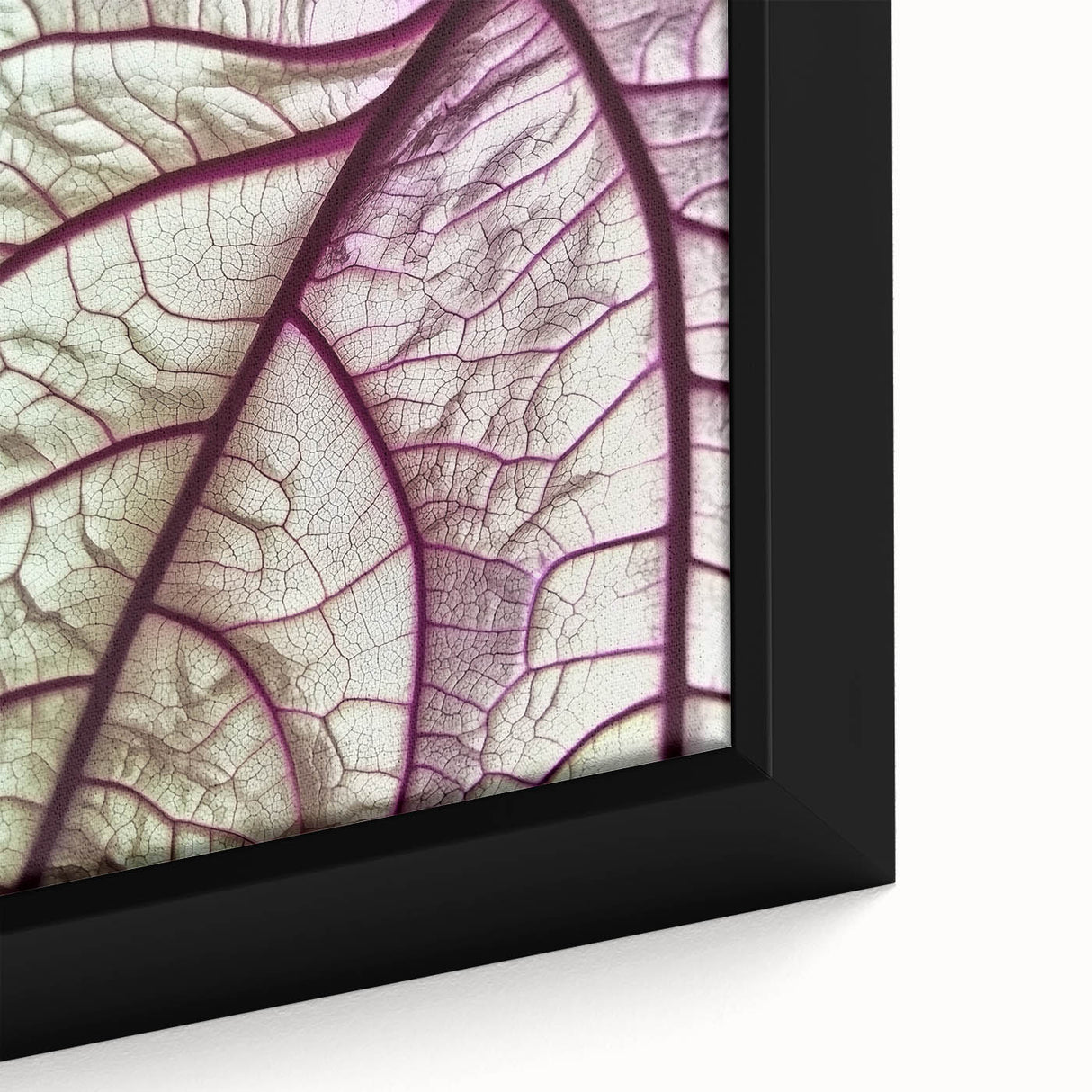 Close-up of textured leaves in black, framed canvas, ideal for living room decor.
