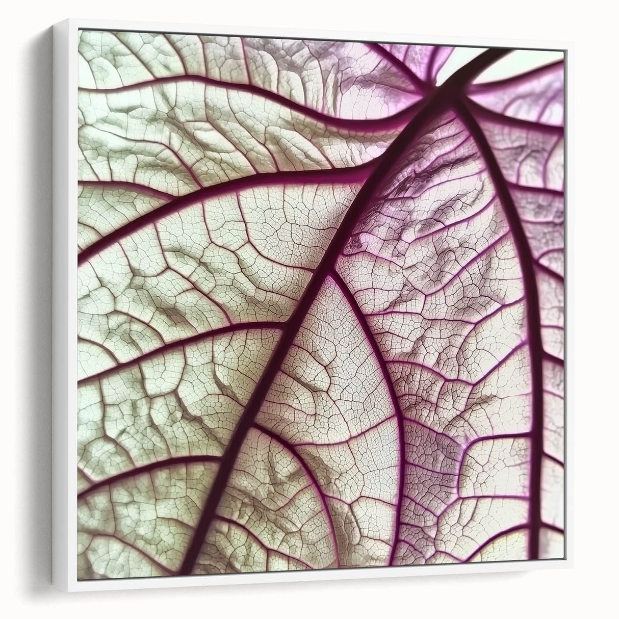 Framed canvas of vintage poster art featuring close-up leaves in green and brown tones, ideal for living room decor.