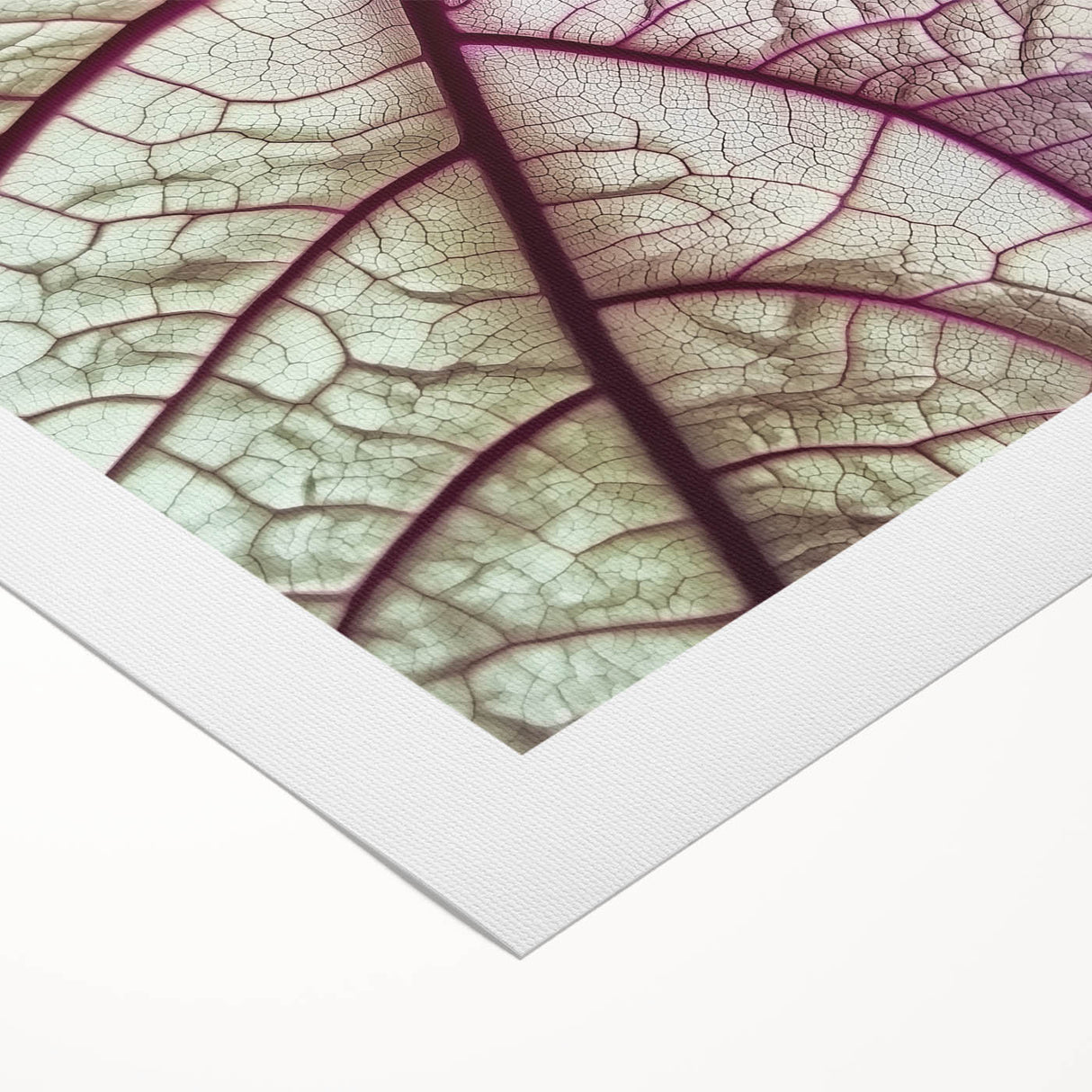 Art deco poster featuring close-up of green leaves on a rolled canvas, suitable for dining room decor.