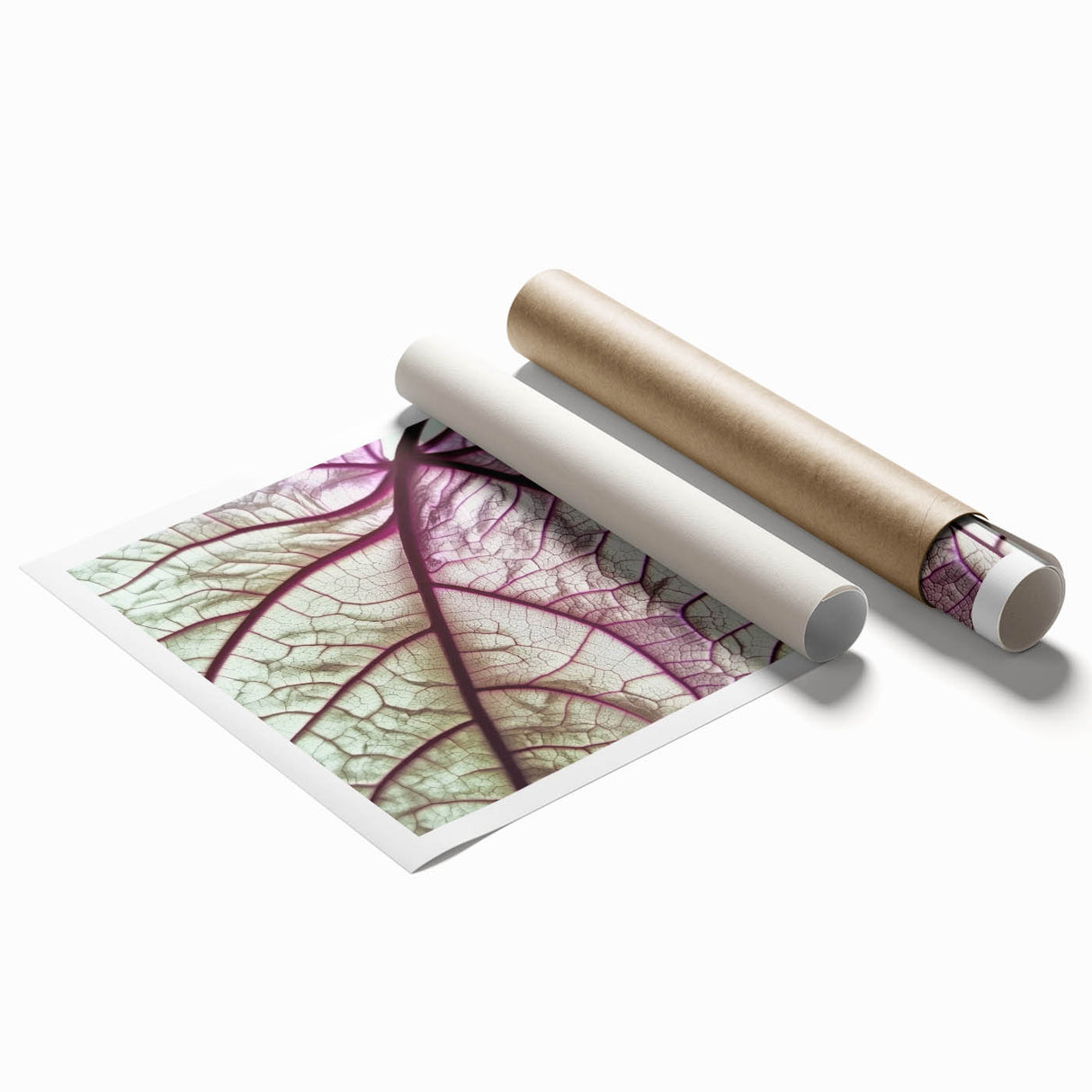 Close-up of green leaves on a white background, extra large rolled print, suitable for classy bathroom wall art.