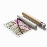 Close-up of green leaves on a white background, extra large rolled print, suitable for classy bathroom wall art.