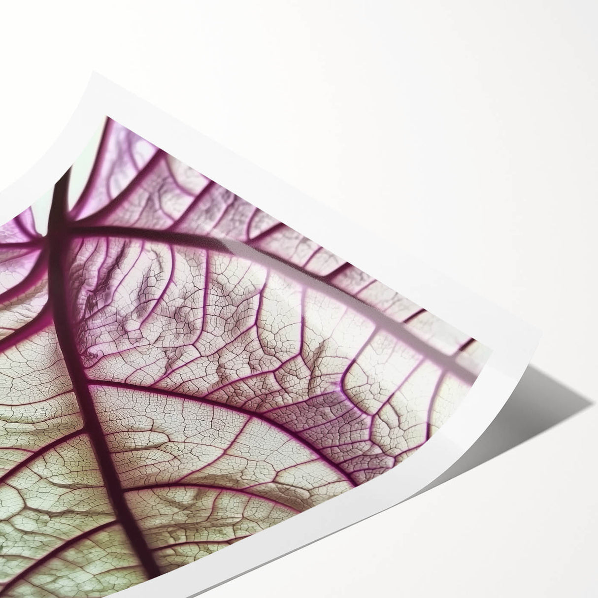 Extra large rolled print featuring line art of leaves in black on white, ideal for large living room wall art.