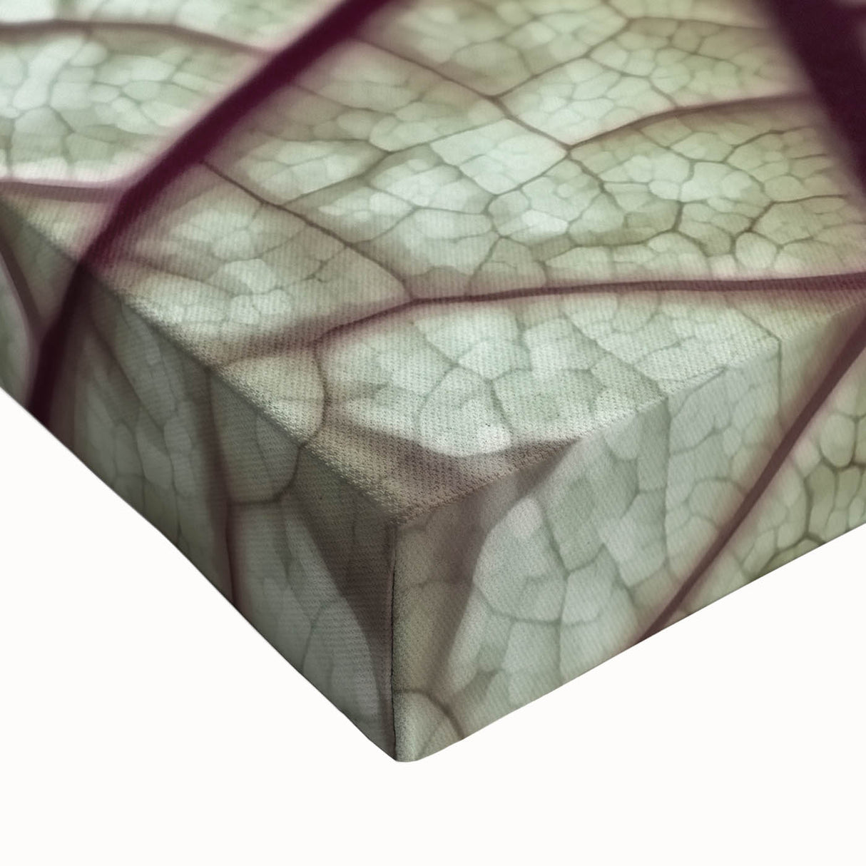 Large art of a black and white close-up photo of leaves on a stretched canvas, suited for bedroom wall decor.