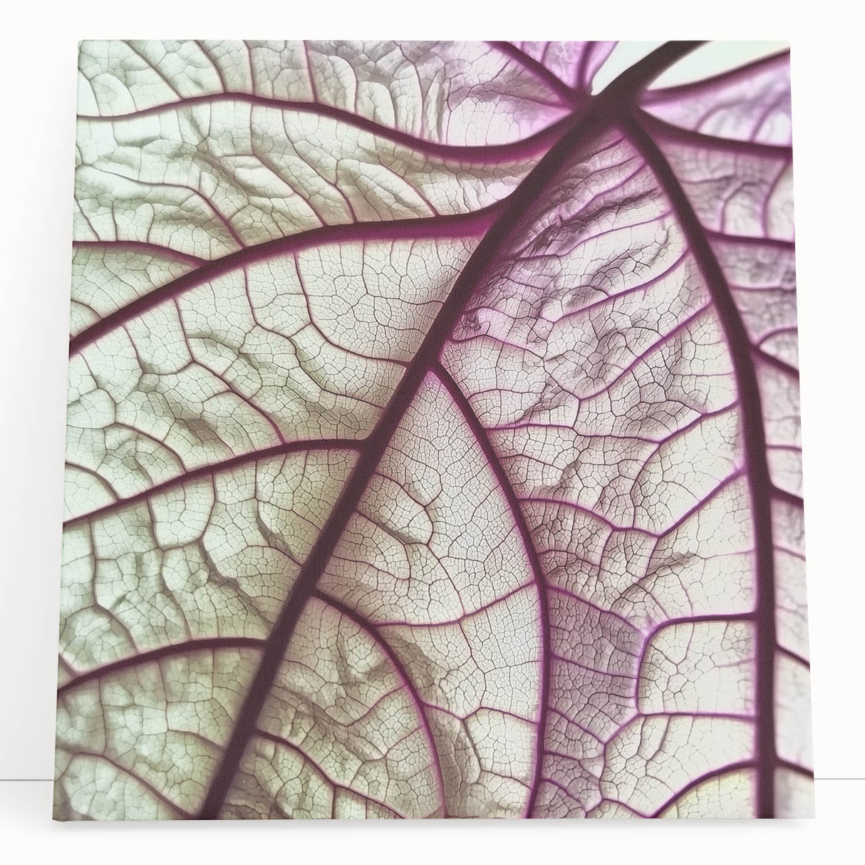 Close-up photo of leaves in black and white on a large stretched canvas, ideal for kitchen wall art.